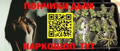 шишки Шелехов