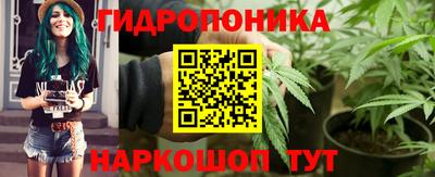 шишки Шахты