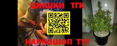 шишки Шелехов