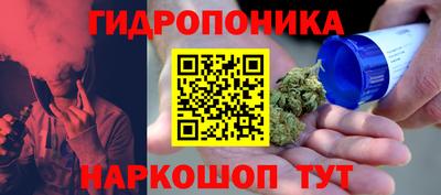 шишки Шелехов