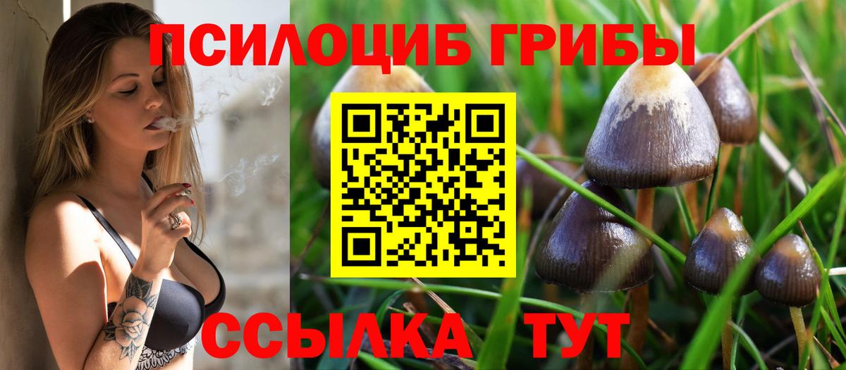 где можно купить наркотик  Галлюциногенные грибы MAGIC MUSHROOMS  Галлюциногенные грибы Psilocybe  Вход с VPN  Бугуруслан 